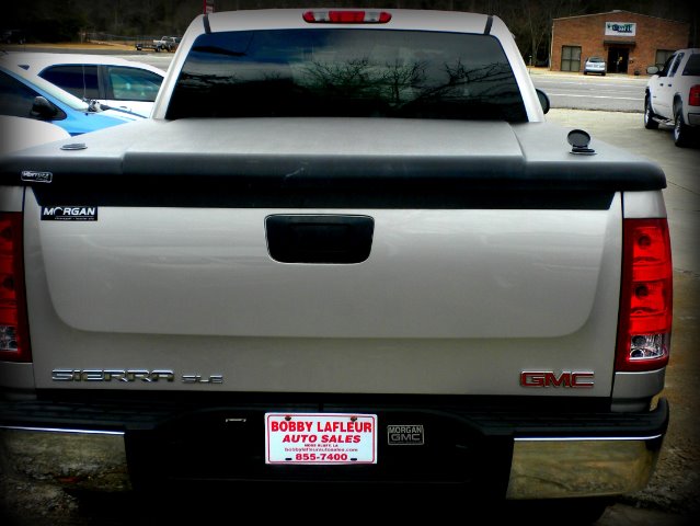 GMC Sierra 1500 2007 photo 2