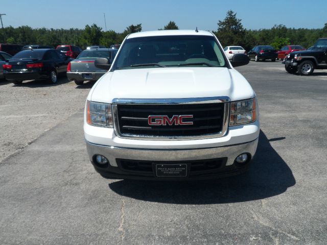 GMC Sierra 1500 2007 photo 3