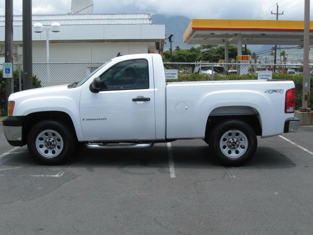 GMC Sierra 1500 2008 photo 1