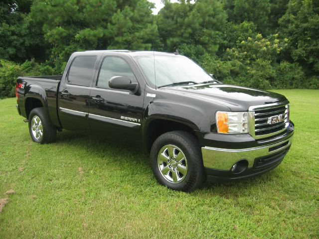 GMC Sierra 1500 2009 photo 2