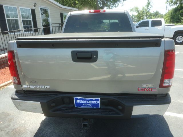 GMC Sierra 1500 2009 photo 3