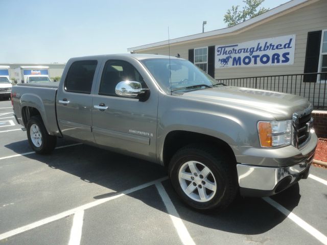 GMC Sierra 1500 2009 photo 4