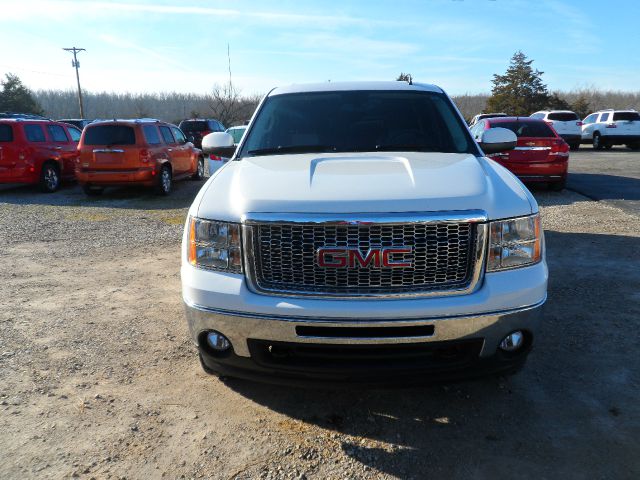 GMC Sierra 1500 2009 photo 2