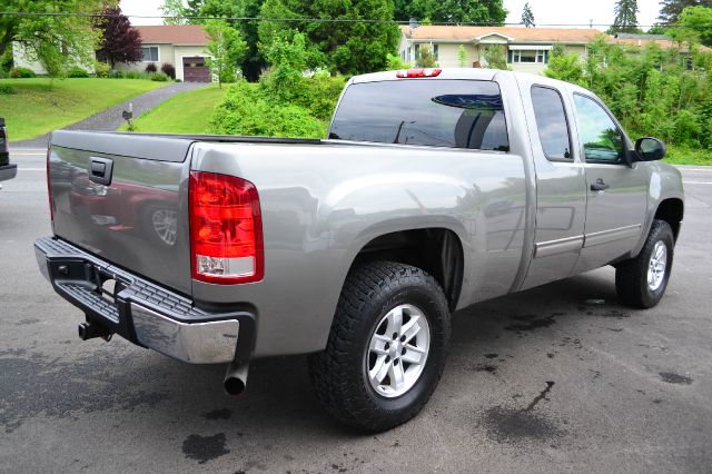 GMC Sierra 1500 2009 photo 2