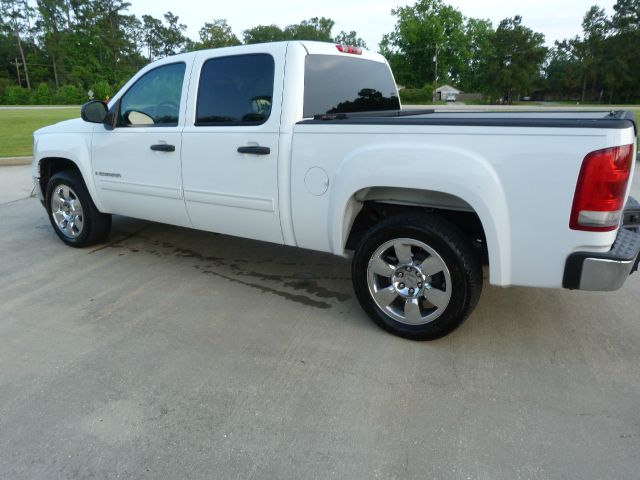 GMC Sierra 1500 2009 photo 1