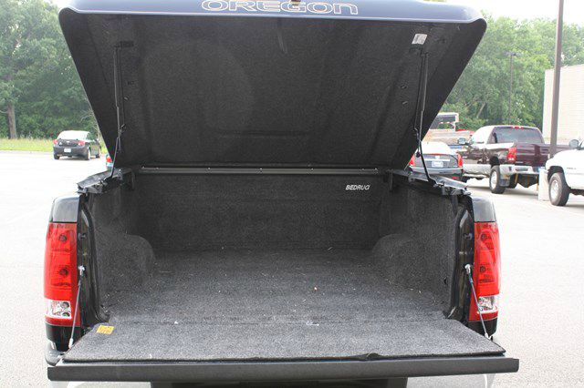 GMC Sierra 1500 2010 photo 3