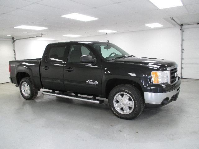 GMC Sierra 1500 2010 photo 2