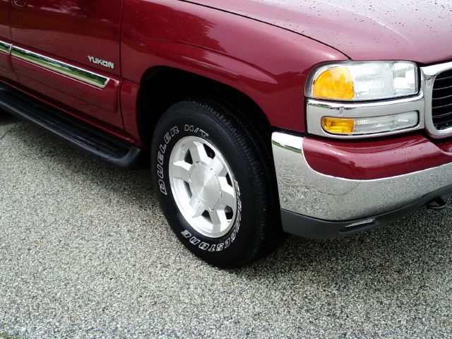 GMC Yukon 2004 photo 10