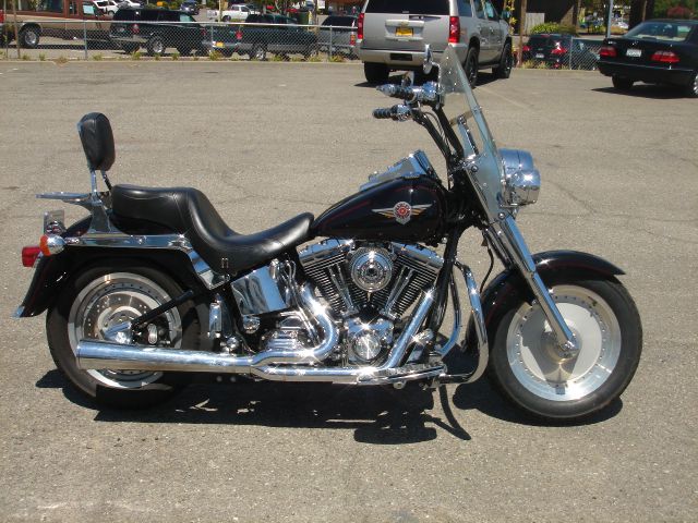 Harley Davidson Fatboy 2001 photo 2