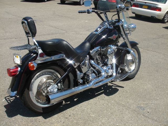 Harley Davidson Fatboy 2001 photo 3