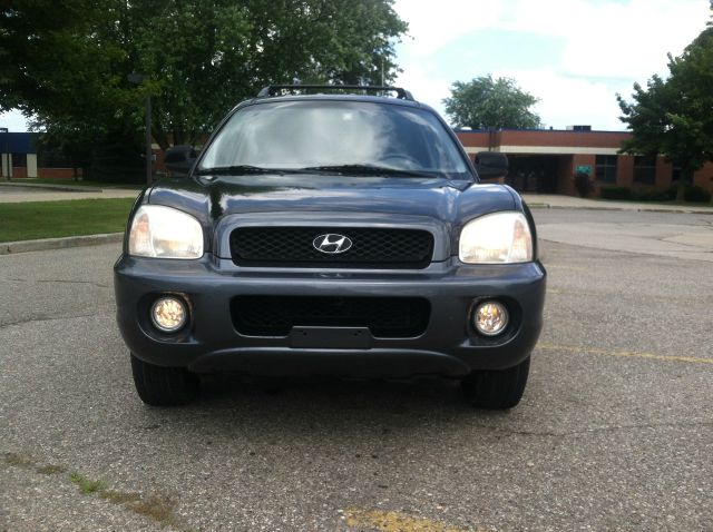 Hyundai Santa Fe 2001 photo 2