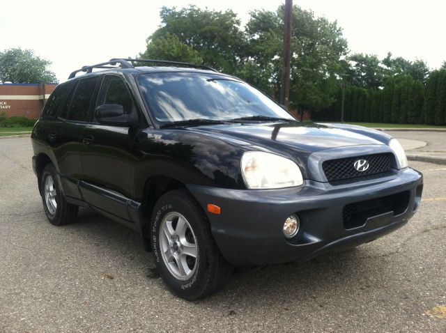 Hyundai Santa Fe 2001 photo 3