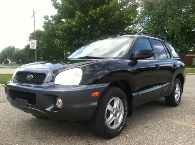 Hyundai Santa Fe 2001 photo 4