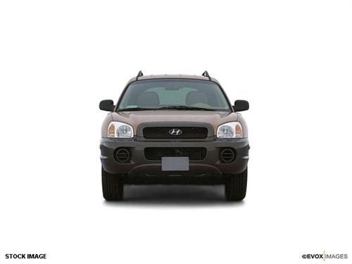 Hyundai Santa Fe 2001 photo 1