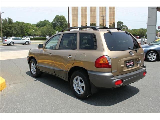 Hyundai Santa Fe 2001 photo 3