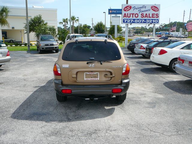 Hyundai Santa Fe 2001 photo 4