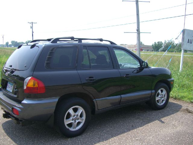 Hyundai Santa Fe 2001 photo 3