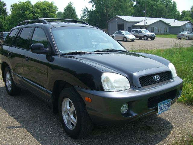 Hyundai Santa Fe 2001 photo 4