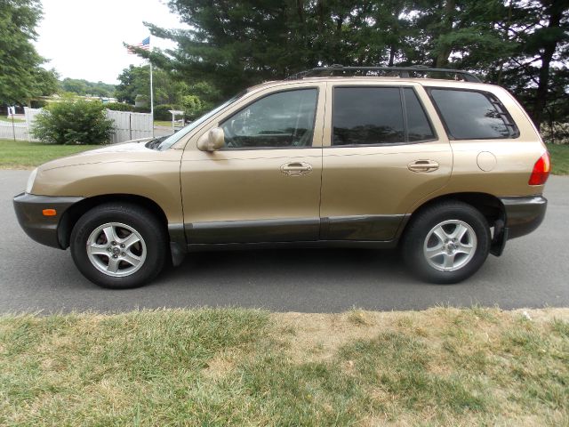 Hyundai Santa Fe 2001 photo 3