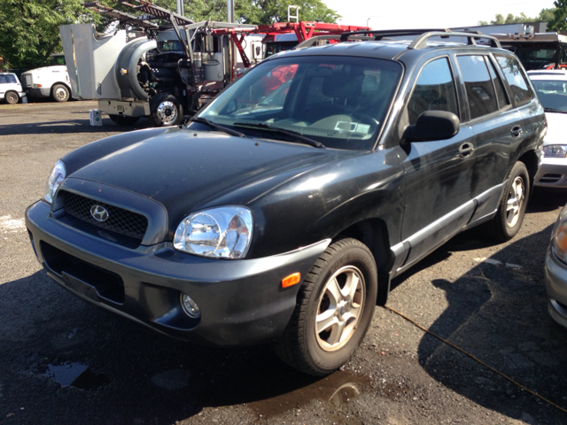 Hyundai Santa Fe 2001 photo 3