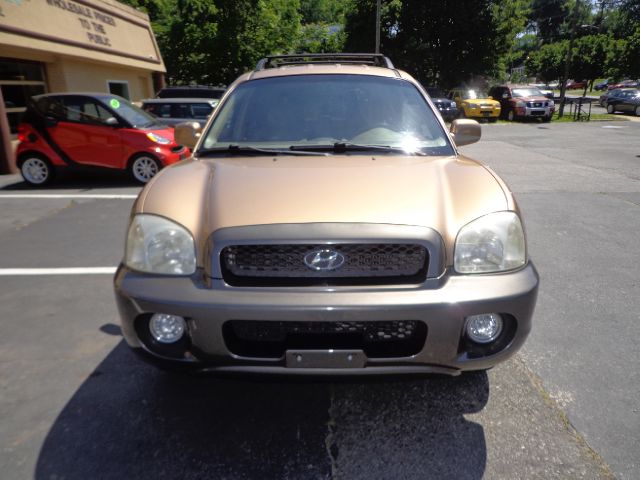 Hyundai Santa Fe 2001 photo 18