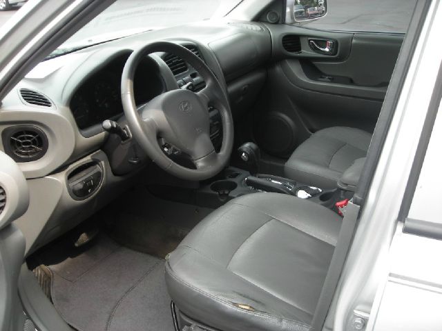 Hyundai Santa Fe 2002 photo 1