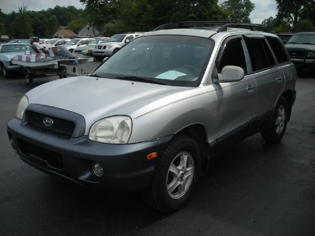 Hyundai Santa Fe 2002 photo 3