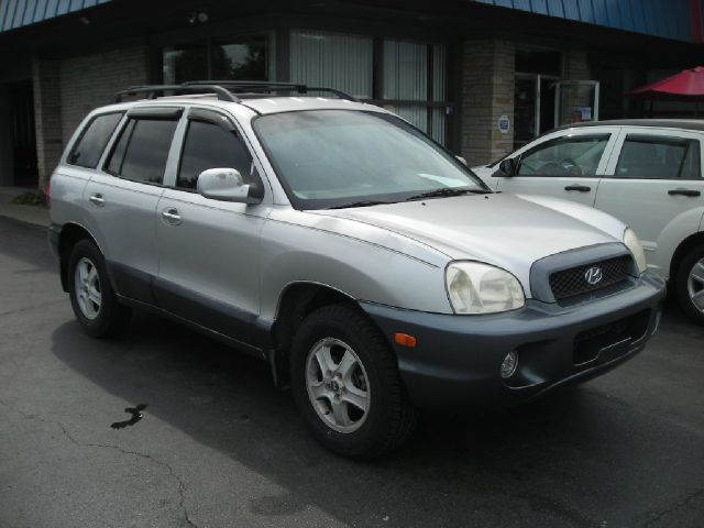 Hyundai Santa Fe 2002 photo 4