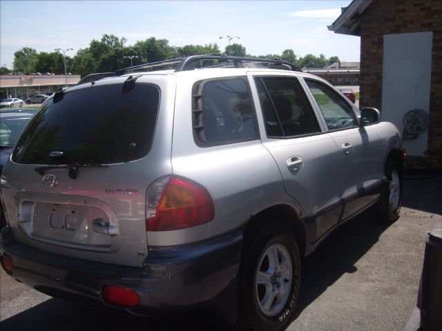 Hyundai Santa Fe 2002 photo 1