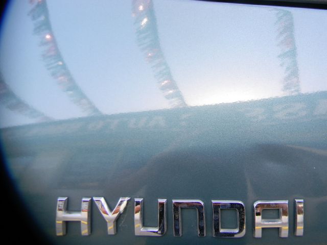 Hyundai Santa Fe 2002 photo 1