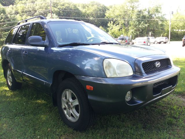 Hyundai Santa Fe 2002 photo 3