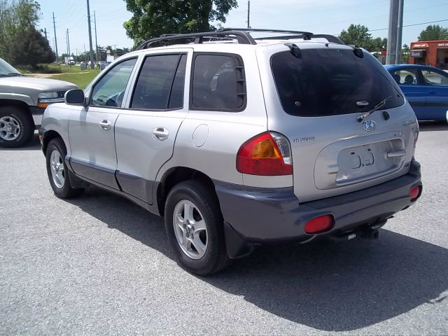 Hyundai Santa Fe 2002 photo 15