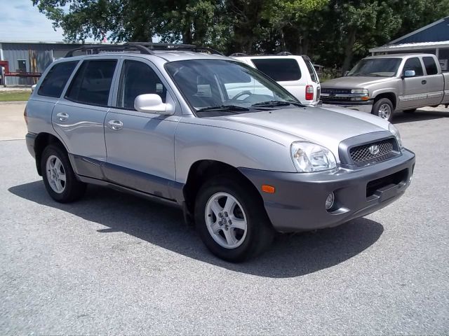 Hyundai Santa Fe 2002 photo 3