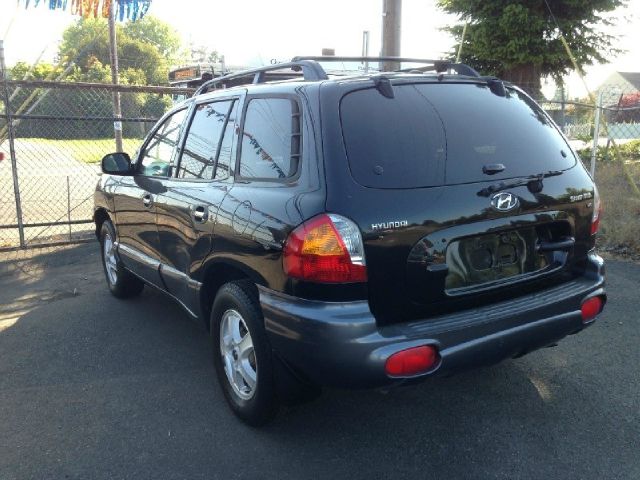 Hyundai Santa Fe 2002 photo 1