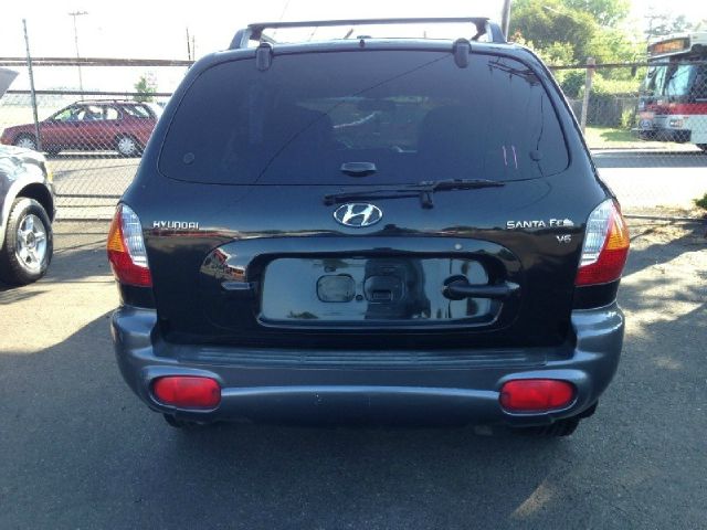 Hyundai Santa Fe 2002 photo 4