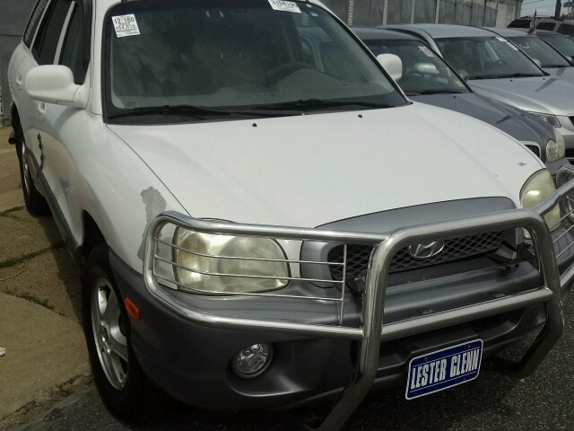 Hyundai Santa Fe 2002 photo 4