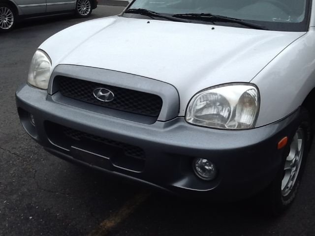 Hyundai Santa Fe 2002 photo 4