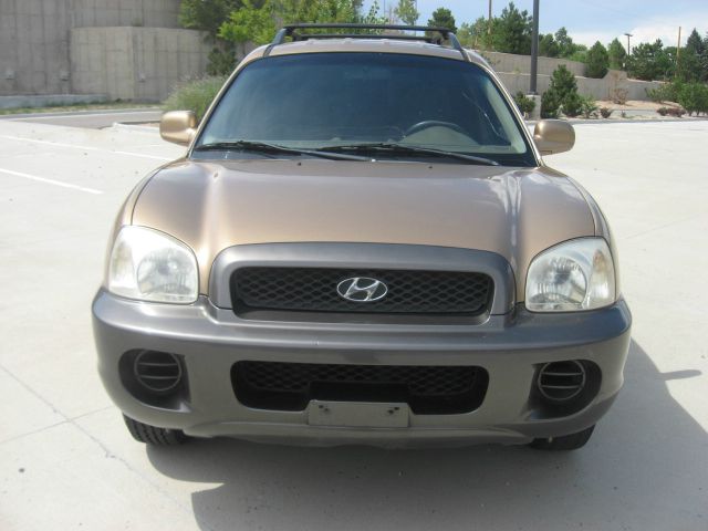 Hyundai Santa Fe 2002 photo 2