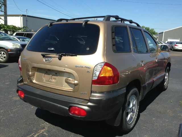 Hyundai Santa Fe 2002 photo 2