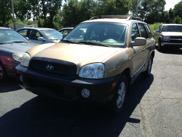 Hyundai Santa Fe 2002 photo 3