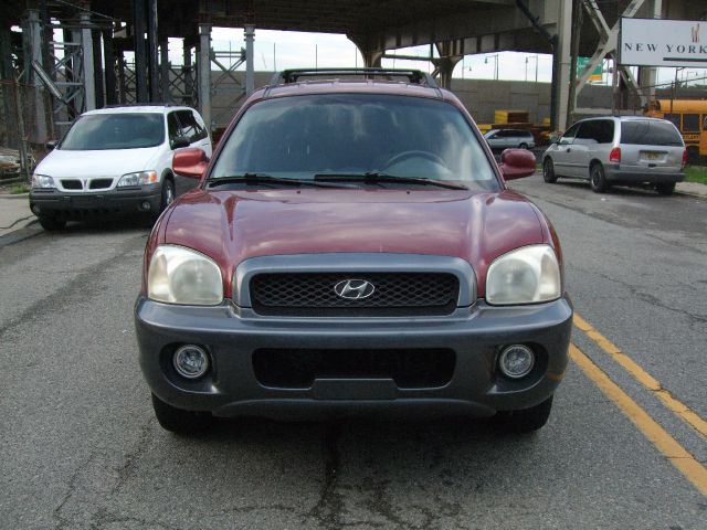 Hyundai Santa Fe 2002 photo 1