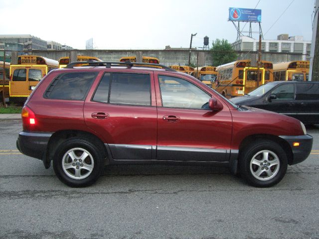 Hyundai Santa Fe 2002 photo 3