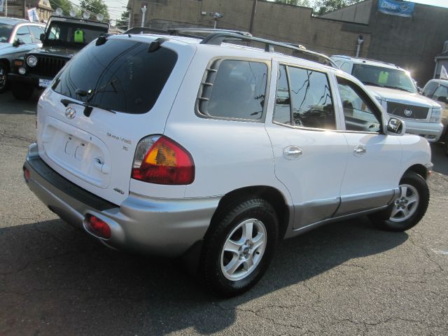 Hyundai Santa Fe 2002 photo 2