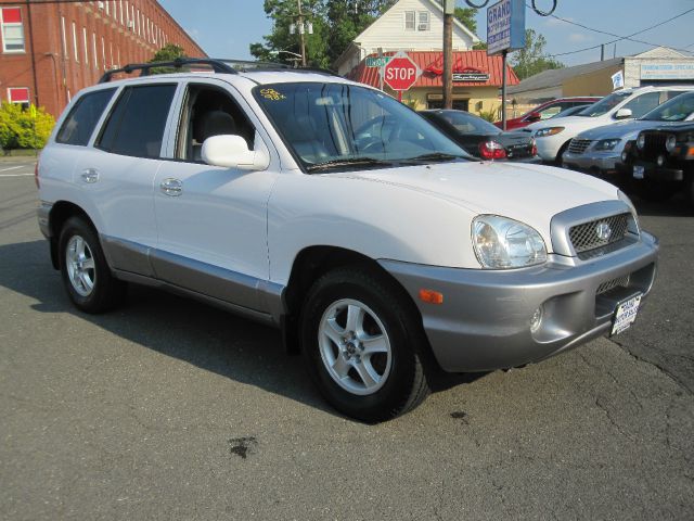 Hyundai Santa Fe 2002 photo 7