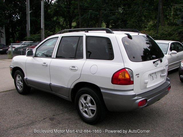 Hyundai Santa Fe 2002 photo 1