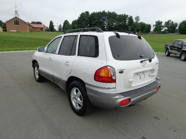 Hyundai Santa Fe 2002 photo 1