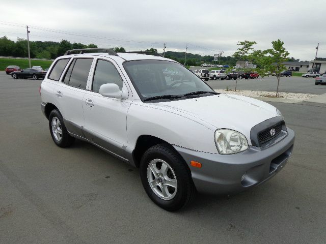 Hyundai Santa Fe 2002 photo 2