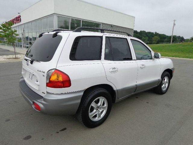 Hyundai Santa Fe 2002 photo 4