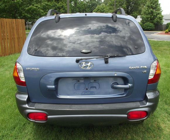 Hyundai Santa Fe 2002 photo 3