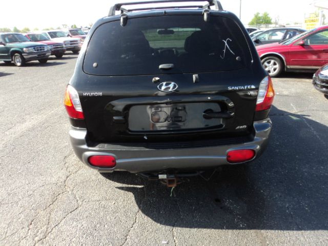 Hyundai Santa Fe 2002 photo 4